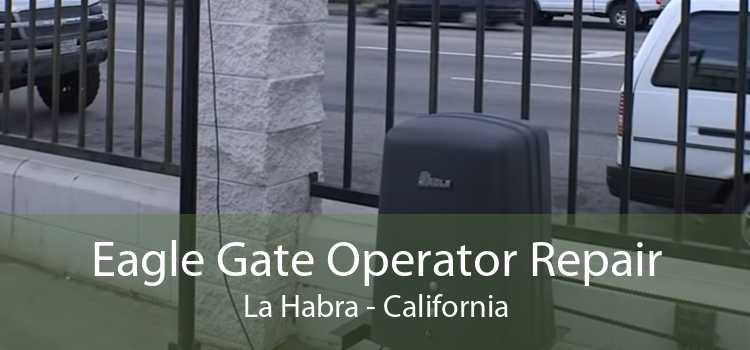 Eagle Gate Operator Repair La Habra - California