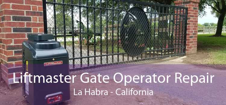 Liftmaster Gate Operator Repair La Habra - California